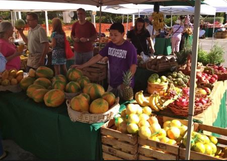 Key Biscayne Farmers Market